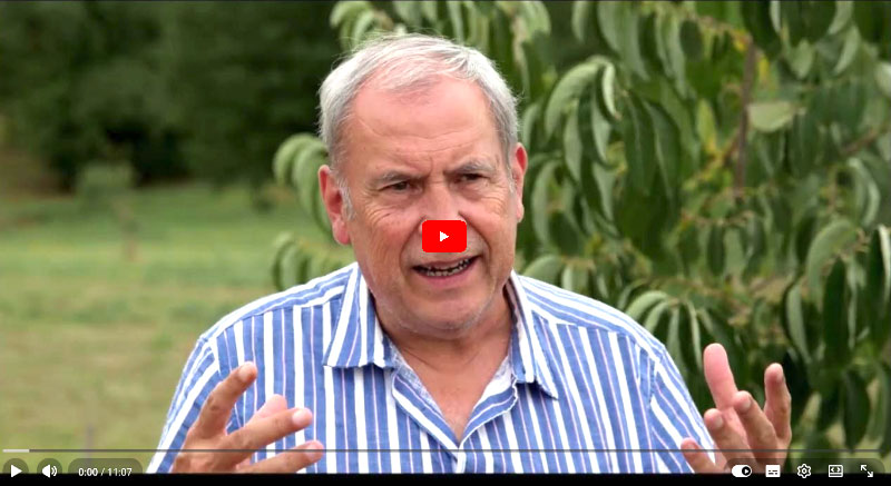 bi 2609 screenshot youtubefilm roemer boden ist politisch 800