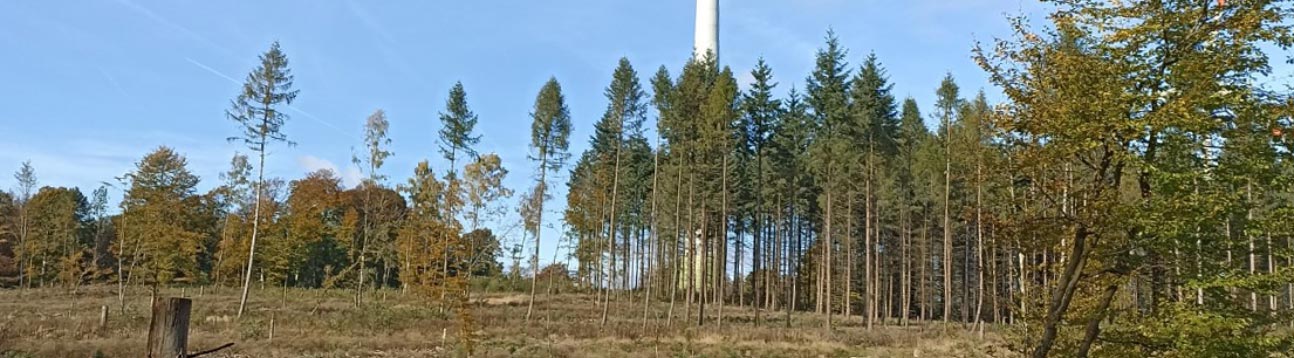 bi kolumne01 kommunalwald 1294